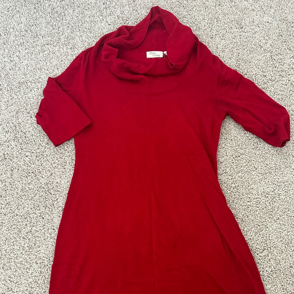 Crown Neck Red Seeater Dress